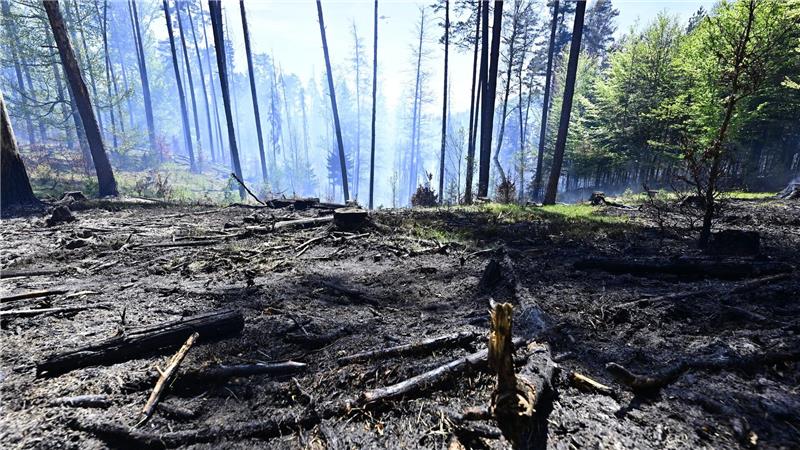 Der Brand im Nationalpark Böhmische Schweiz ist nicht unter Kontrolle.