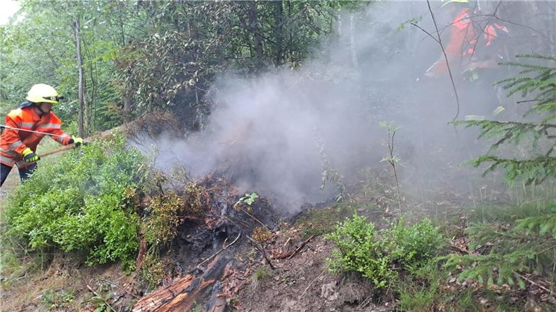 Vermehrt Brände im Harz: Polizei ermittelt – teils hoher Sachschaden Der Brand, musste gelöscht werden, damit keine weiteren Pflanzen Feuer fangen.