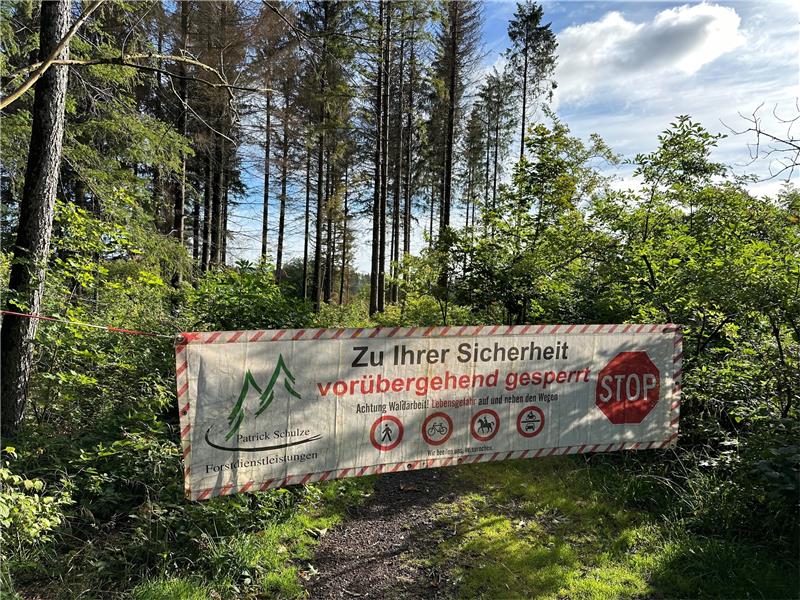 Braunlager Wald verändert nach wie vor sein Aussehen Der Braunlager Rundweg ist im Bereich des Schmiedebergs am Mittwochmorgen wegen der geplanten Baumfällarbeiten gesperrt. Foto: Eggers