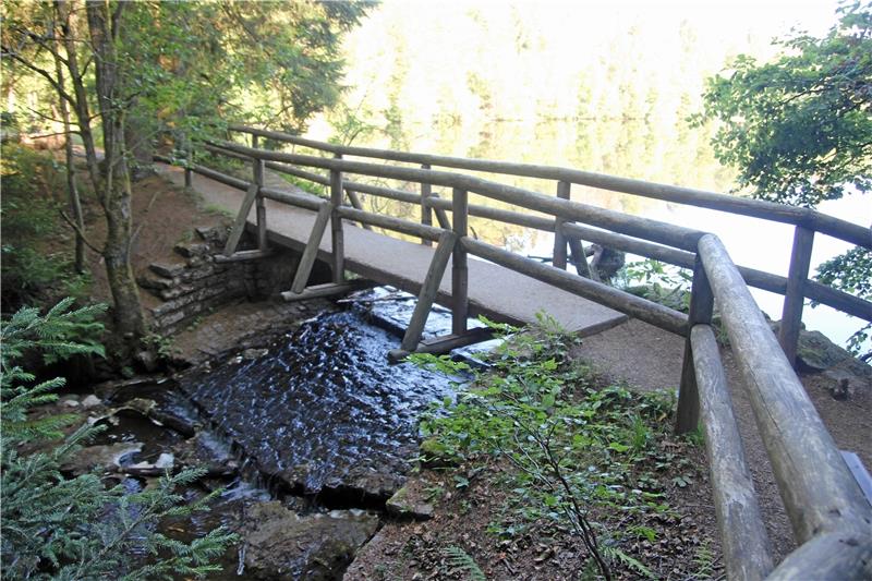 Der Brunnenbach fließt aus dem Silberteich ab und mündet hinter der Brunnenbachsmühle in die Warme Bode.