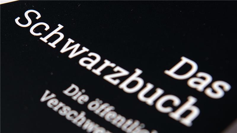 Bund der Steuerzahler rügt Verschwendung von Geldern Der Bund der Steuerzahler sammelt in seinem Schwarzbuch Beispiele für die Verschwendung öffentlicher Gelder. (Symbolbild)