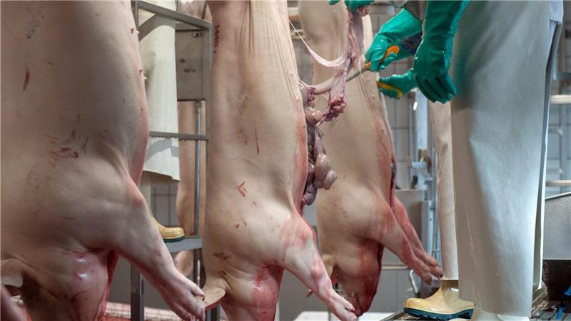 Der Bund plant Videoüberwachung in Schlachthöfen - in Niedersachsen gibt es dazu grundsätzlich Zustimmung - jedoch mit Einschränkungen. (Symbolbild)