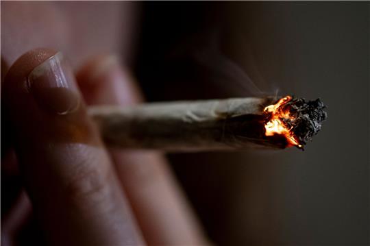 Der Bundestag hat die Weichen für eine Cannabis-Freigabe zum 1. April gestellt.