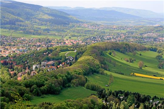 Der Butterberg war einmal der Strand des Kreidemeeres, allerdings nicht in der Form, in der er heute existiert – auch wenn man das meinen könnte. Aber der Berg, dessen charakteristischer Kamm hier deutlich zu sehen ist – besteht aus dem Gestein, das einst das Ufer des Kreismeeres war. Archivfoto: Weber/BUND