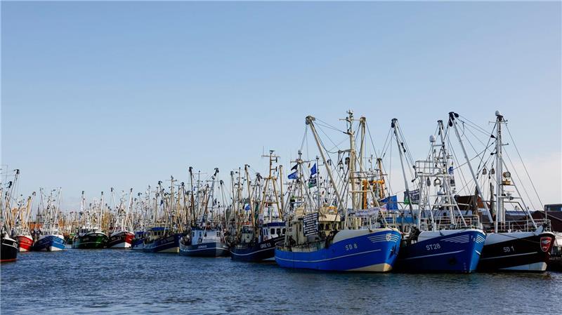 Der Dialog zur Krabbenfischerei im schleswig-holsteinischen Wattenmeer ist vorerst gescheitert. (Archivbild)