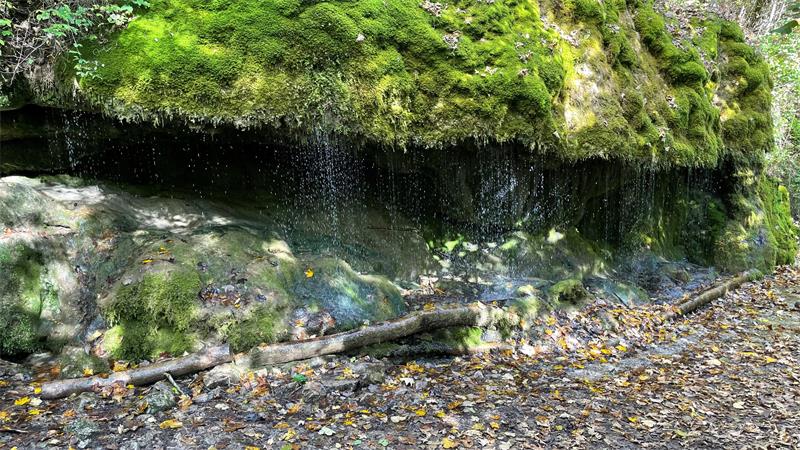 Das Foto zeigt den Dietfurter Schleierfall. Über einen stark bemoosten Felsvorsprung fällt das Wasser wie ein breiter Vorhang.