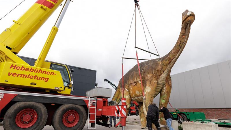 Tonnenschwere Dinosaurier-Lady zieht um Der Dino wird per Kran verladen.