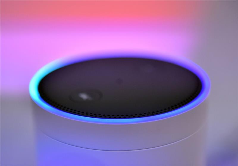 Amazon-Geräte schalten sich zu Riesen-Netz zusammen Der Echo-Lautsprecher von Amazon.