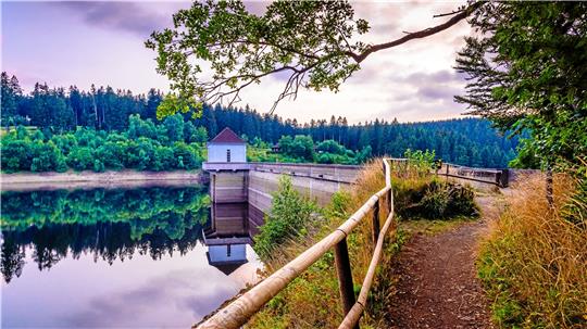 Der Eckerstausee bei Bad Harzburg ist eine der Trinkwassertalsperren der Harzwasserwerke.  Foto: Jonas Ginter