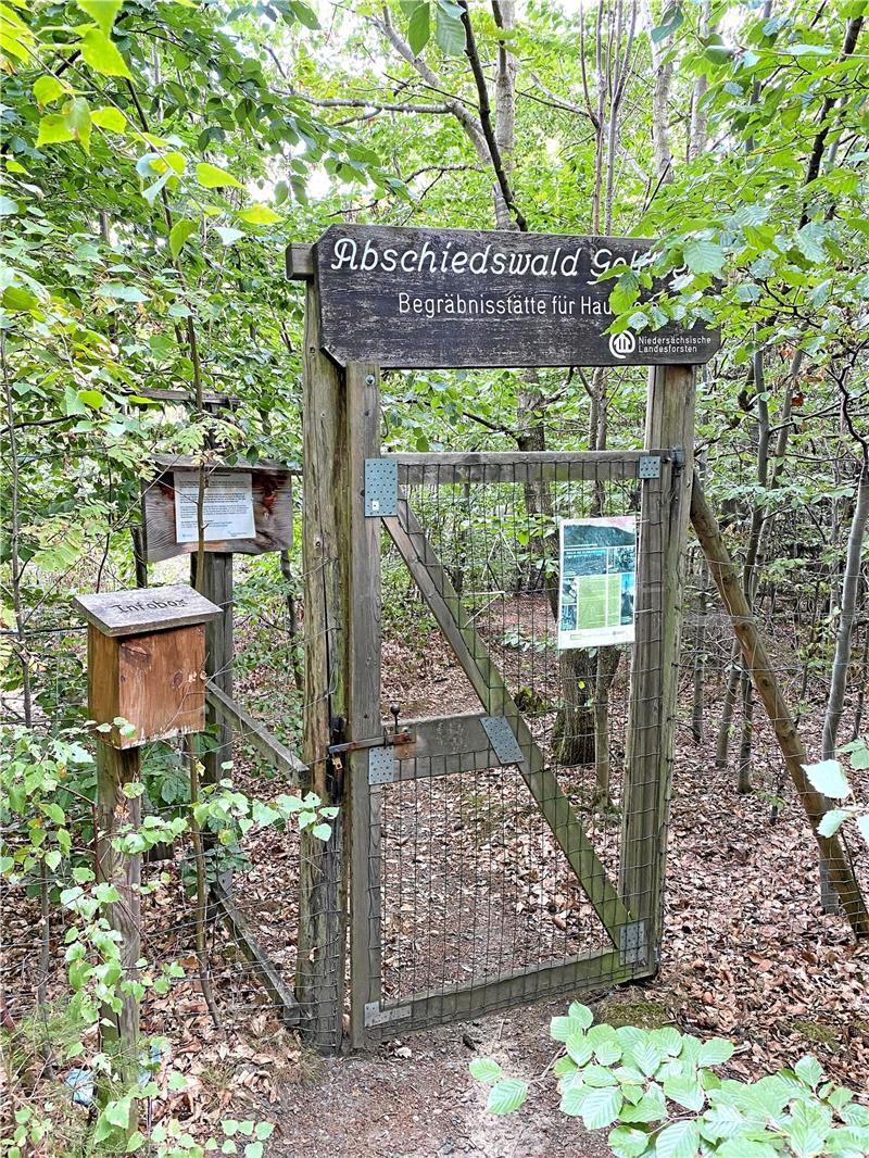 Der Eingang zum alten Teil des Tierfriedhofs.