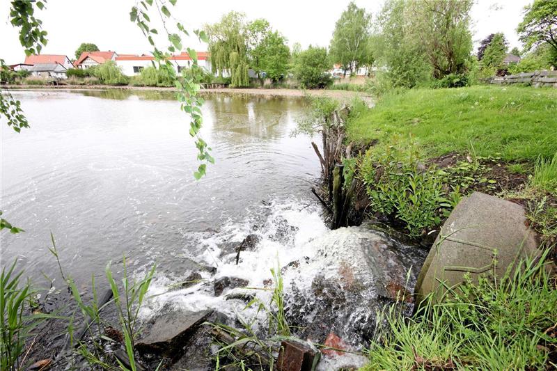 Der Einlauf des Mühlenteichs nach den starken Regenfällen: Das Wasser sprudelt munter aufs Teichgelände.  Foto: Gereke
