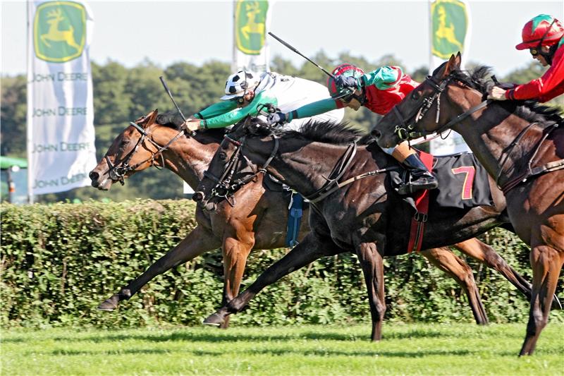 Warum braucht der Jockey eigentlich eine Peitsche? Der Einsatz der Peitsche – hier bei einem Rennen auf der Galopprennbahn Hoppegarten – ist selbst in Fachkreisen nicht unumstritten. Foto: Frank Sorge