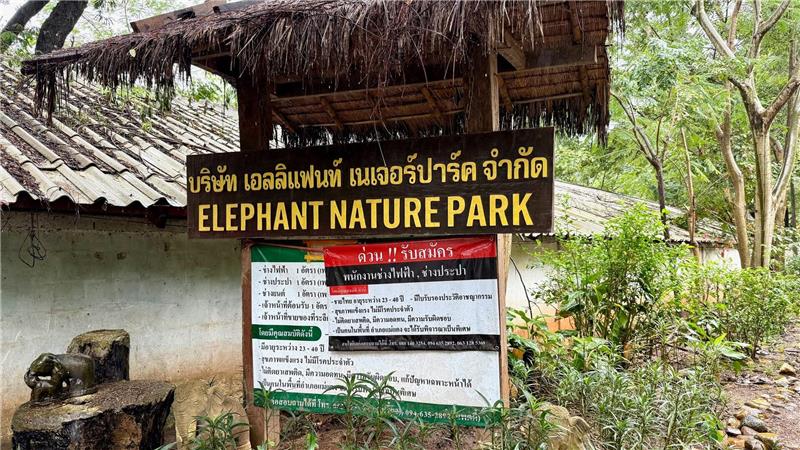 Die Elefantenflüsterin von Chiang Mai Der Elephant Nature Park liegt in der Nähe der bekannten Stadt Chiang Mai.