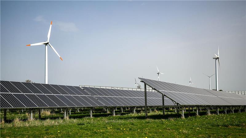 Warum ein grüner Bürgermeister gegen zusätzliche Windräder ist Der Energiepark bei Harlingerode würde aus Windrädern, PV-Modulen und einer Wasserstoff-Produktion bestehen.