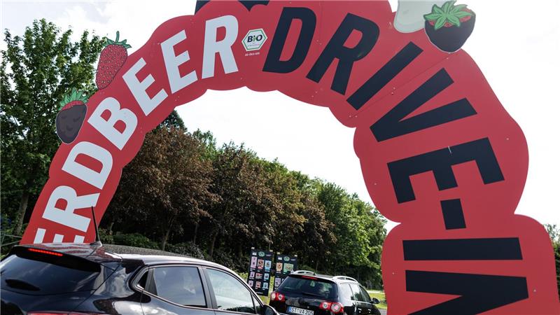 Erdbeer-Drive-in im Emsland sorgt für Tiktok-Hype und Stau Der Erdbeer-Drive-in ist in der Nähe der Autobahn 30 bei Salzbergen.