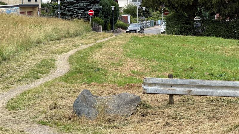 Das Foto zeigt einen schmalen Weg über eine Wiese.