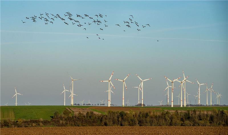 IW-Studie: Fachkräftemangel gefährdet Energiewende Der Fachkräftemangel bremst die Energiewende aus.