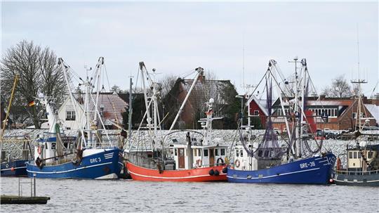 Der Februar brachte Wetterkontraste mit sich, war aber bis auf die letzten Februar-Tage vor allem von hartnäckiger Kälte geprägt. (Archivbild)