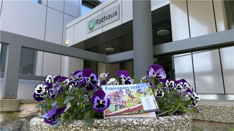 Blumentopf mit violetten Stiefmütterchen und einem Flyer vor einem modernen Gebäude mit dem Schild 'Rathaus'