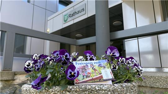 Blumentopf mit violetten Stiefmütterchen und einem Flyer vor einem modernen Gebäude mit dem Schild 'Rathaus'