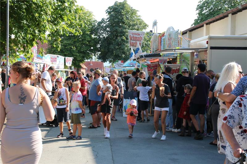 Der Festplatz auf Reimers Wiese  lockte viele Gäste. 