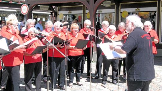 Der Frauensingkreis Goslar unter der Leitung von Hans Mohr beim Schuhhofkonzert im Sommer 2009.