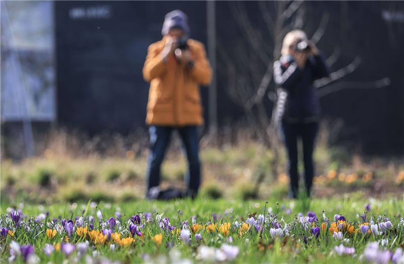 Milder Frühlingsstart in Deutschland Der Frühling hält Einzug in Deutschland.