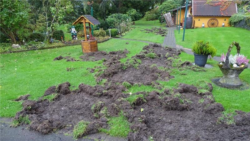 Der Garten von Andreas Deeke ist stark verwüstet