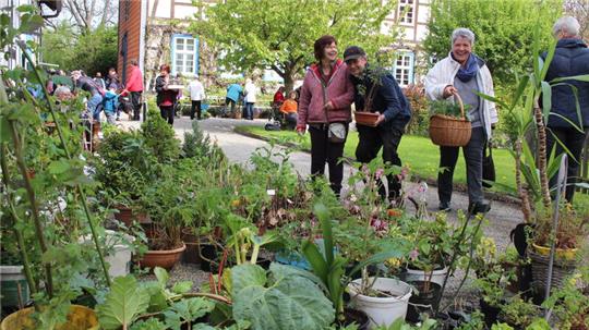 Der Gartenflohmarkt eröffnet den Start in die Saison.