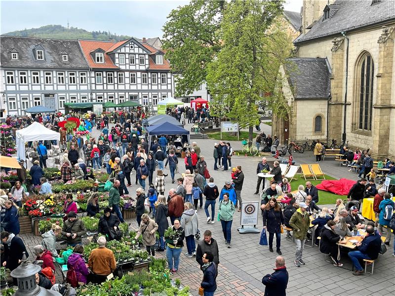 Gartenmarkt lockt viele Botanik-Liebhaber auf den Jakobikirchhof Der Gartenmarkt auf dem Jakobikirchhof begeistert in Goslar ganze Menschenscharen. Foto: Sowa