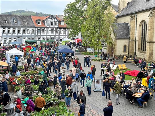 Der Gartenmarkt auf dem Jakobikirchhof begeistert in Goslar ganze Menschenscharen. Foto: Sowa
