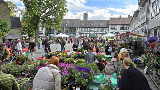 Der Gartenmarkt erfreut sich 2024 großer Beliebtheit.
