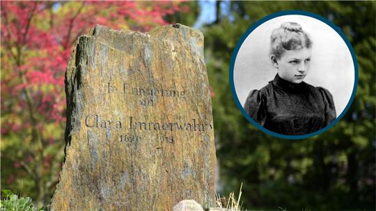 Die Bild-Montage zeigt einen Erinnerungsstein und ein Porträt von Clara Immerwahr.