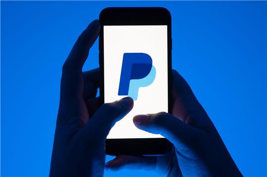 Der Geschäftsausblick von Paypal enttäuscht.