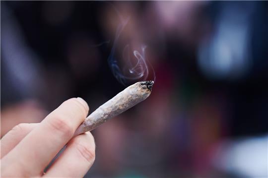 Der Gesetzentwurf sieht vor, Cannabis im Betäubungsmittelgesetz von der Liste der verbotenen Substanzen zu streichen.