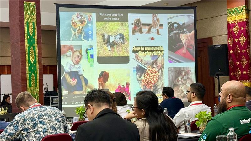 Tierquälerei für Klicks: Warum Gewaltvideos im Netz boomen Der Gipfel auf Bali vereinte Experten aus aller Welt.