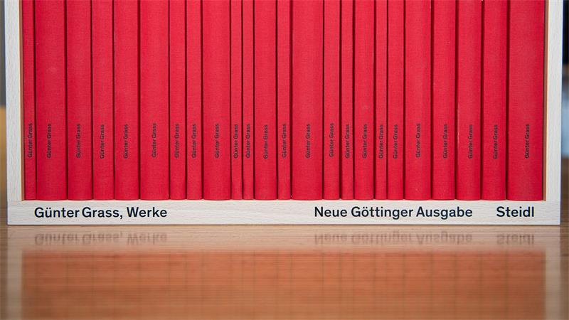 Der Göttinger Steidl-Verlag steckt in einem vorläufigen Insolvenzverfahren. Der Verlag hält die Weltrechte am Werk von Günter Grass. (Archivbild)