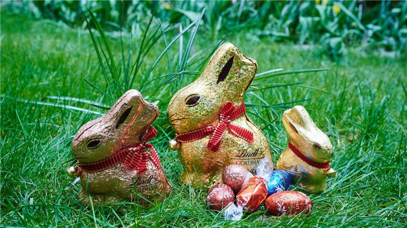 Ostern ade? Wie mit dem „Sitzhasen“ Stimmung gemacht wird Der „Goldhase“ ist nicht selten in Osternestern zu entdecken. (Symbolbild)