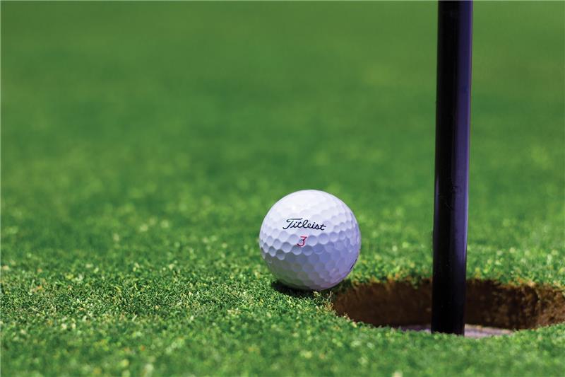 Führungskrise abgewendet: Neuer Vorstand für Golfclub Harz Der Golfplatz in Bad Harzburg ist sehr beliebt. Symbolbild: Pixabay