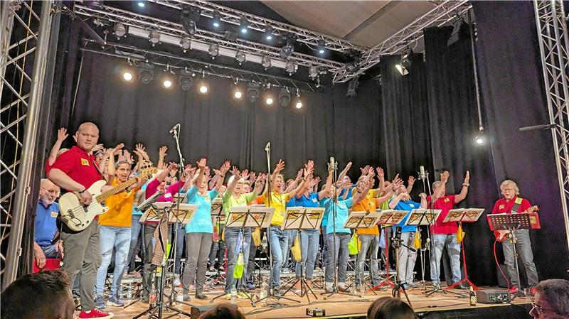 Kreis-Chorverband Nordharz hat Nachwuchssorgen Der Goslarer Pop Chor´n ist das Aushängeschild des Verbands. Archivfoto: Privat