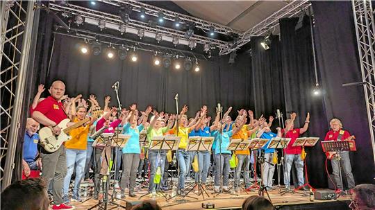 Der Goslarer Pop Chor´n ist das Aushängeschild des Verbands.  Archivfoto: Privat