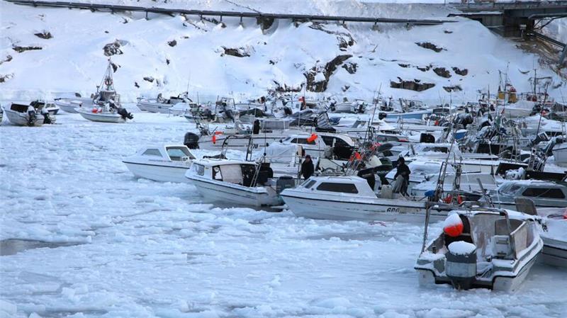 Grönlands Klima-Zwiespalt - und was Trump damit zu tun hat Der Hafen von Ilulissat ist teils zugefroren.