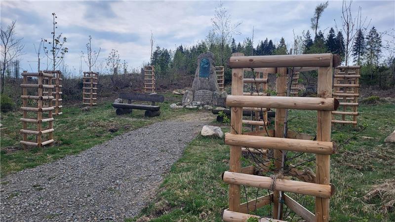 Weg mit mehreren jungen Bäumen, die von Holzgittern geschützt werden, und einer Bank vor einem Gedenkstein in einer offenen Landschaft