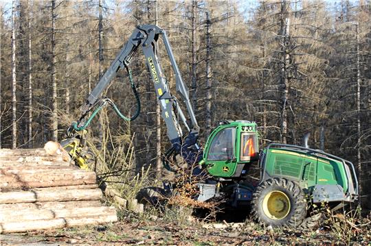 Der Harvester kommt vielseitig zum Einsatz. Laut den Arbeitern sind die Massen an Fichten sonst nicht zu bewältigen. Fotos: Knoke
