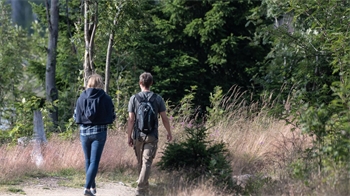 Das Foto zeigt zwei Wanderer von hinten, die am Oderteich im Wald unterwegs sind.