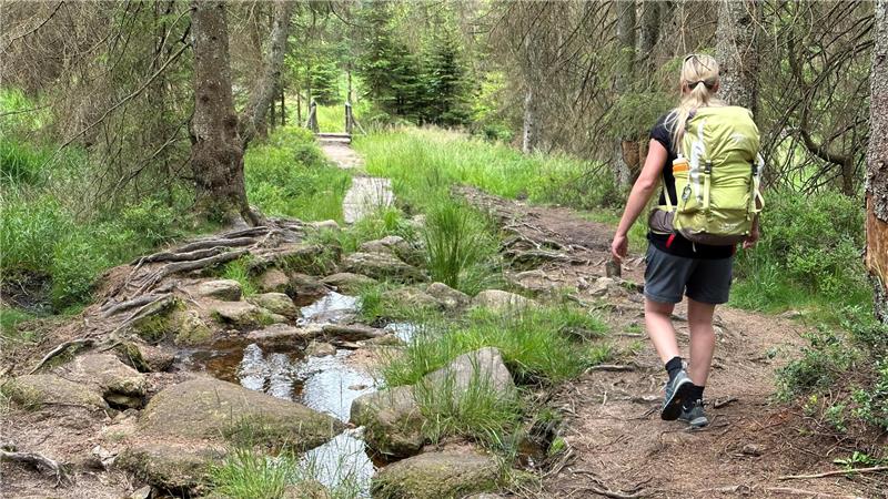Der Harzklub-Zweigverein St. Andreasberg veranstaltet eine Wanderwoche mit vielen geführten Touren.