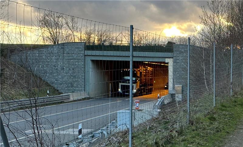 Ein Lkw fährt durch einen Tunnel.