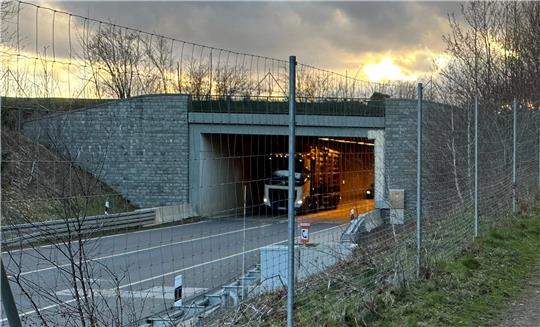 Ein Lkw fährt durch einen Tunnel.