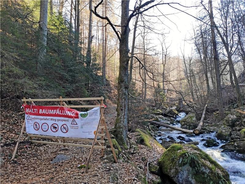 Heinrich-Heine-Weg zum Brocken gesperrt Der Heinrich-Heine-Weg im Ilsetal bleibt wegen Forstarbeiten vorerst weiterhin gesperrt. Foto: Baumgartner/Nationalpark