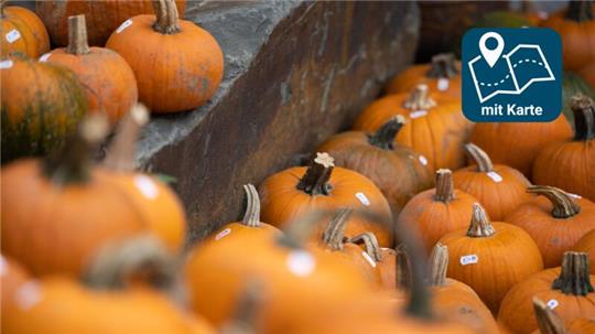 Der Herbst kommt in großen Schritten und mit ihm auch die Kürbiszeit.